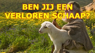 Onderzoek jezelf of je een verloren schaap bent