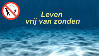 Een leven zonder zonde